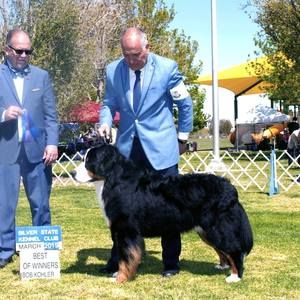 Meet your Posher, Sally